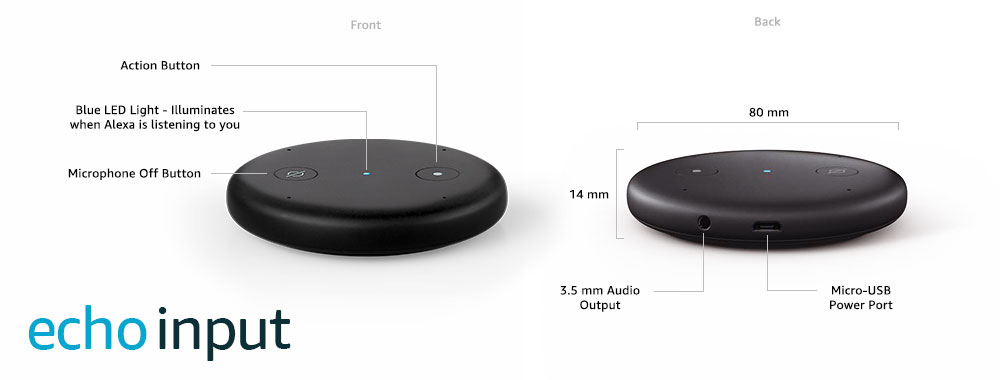 Amazon Echo Input: Alexa at minimum 