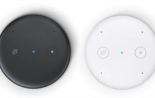 Amazon Echo Input: Alexa at minimum terms